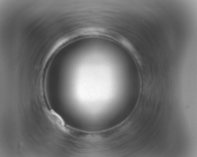 X0000082151384200701262257
