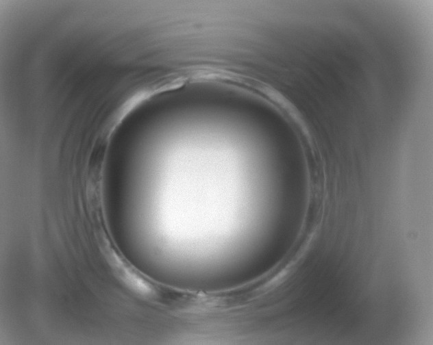 X0000082151385200701262257
