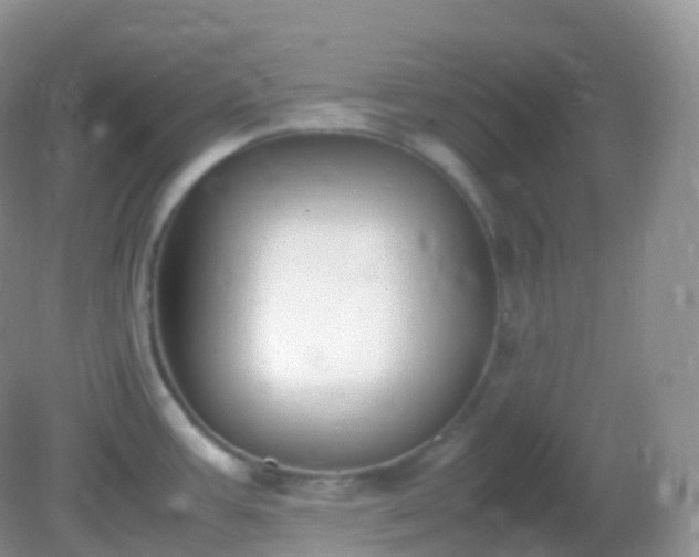 X0000082151387200701262257