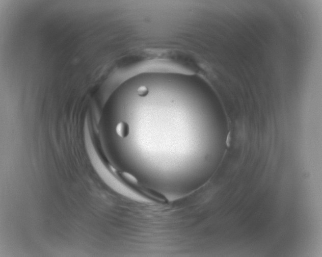 X0000082151394200701262256
