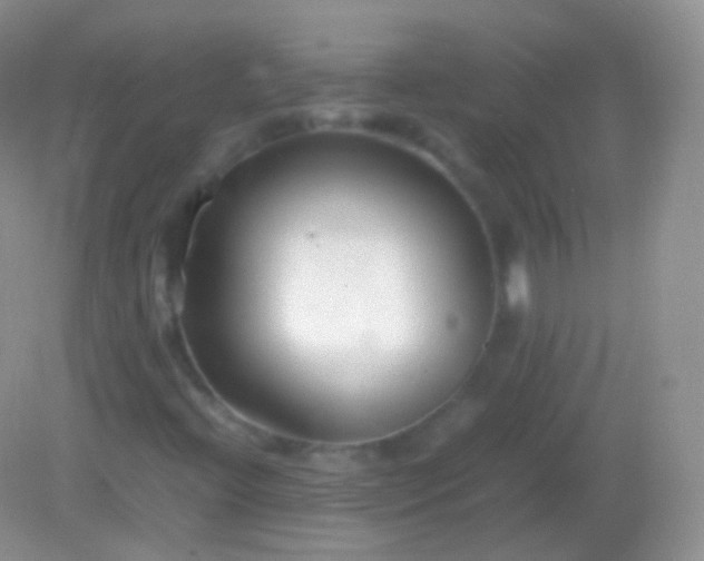 X0000082151396200701262256