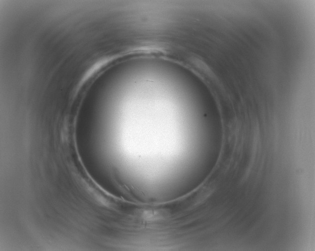 X0000082151412200701262256