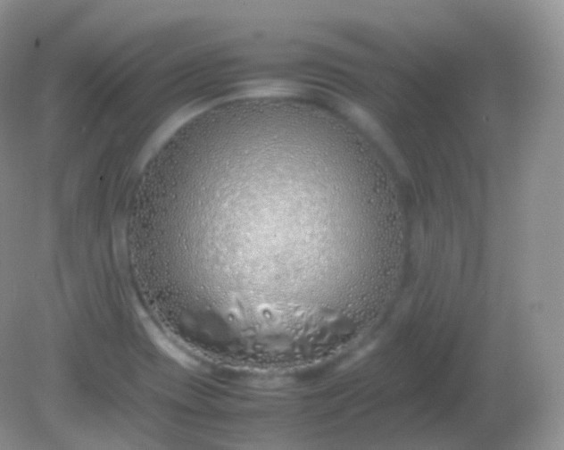 X0000082151417200701262256