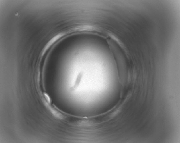 X0000082151418200701262257