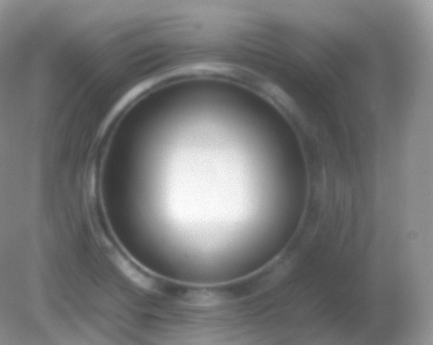 X0000082151420200701262257