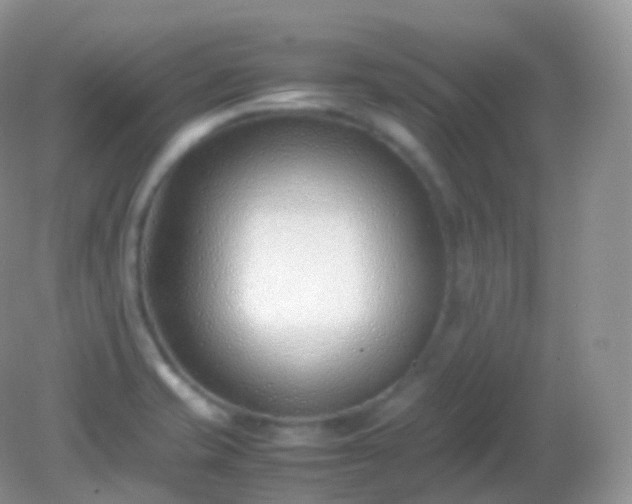 X0000082151421200701262257