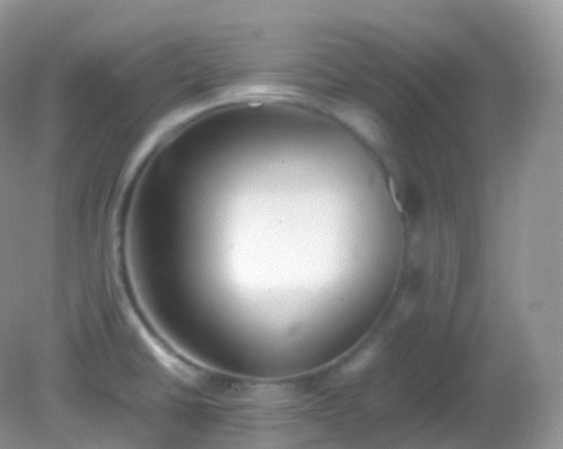 X0000082151430200701262257