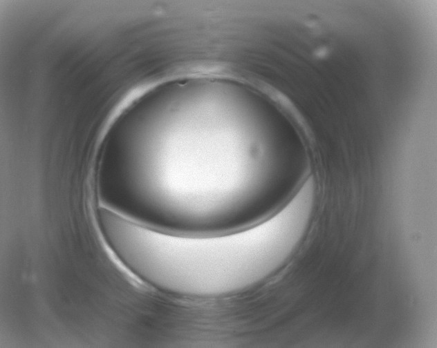 X0000082151432200701262257