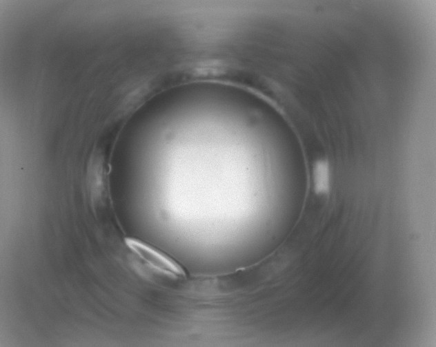 X0000082151444200701262256