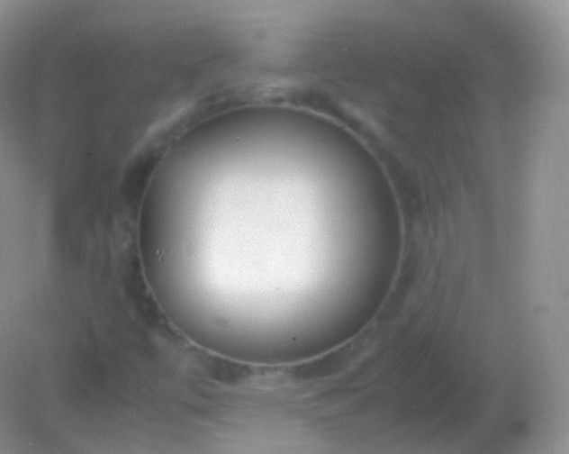 X0000082151447200701262256