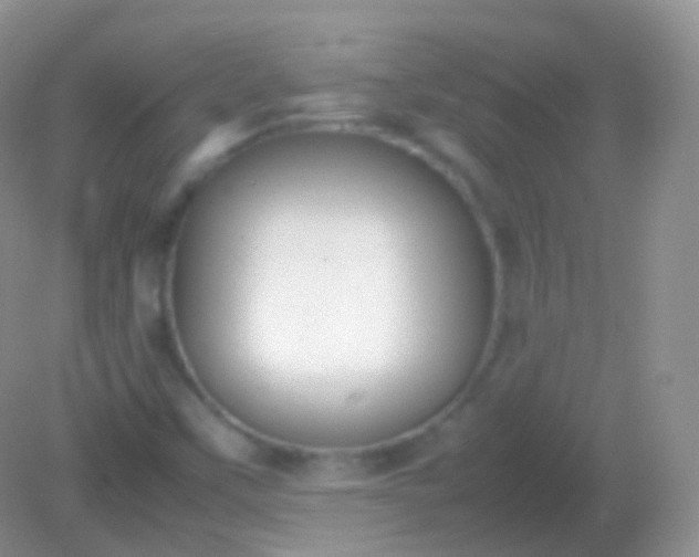 X0000082151451200701262256