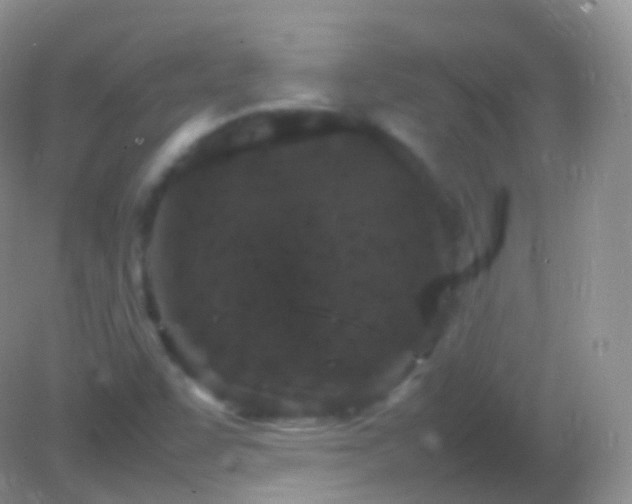 X0000082151455200701262256