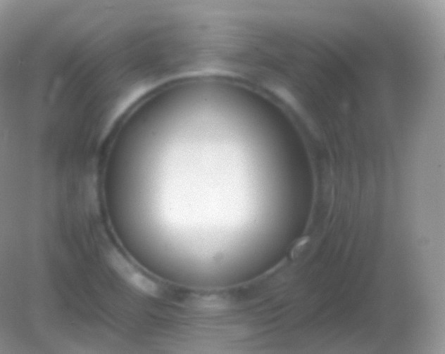 X0000082151460200701262256