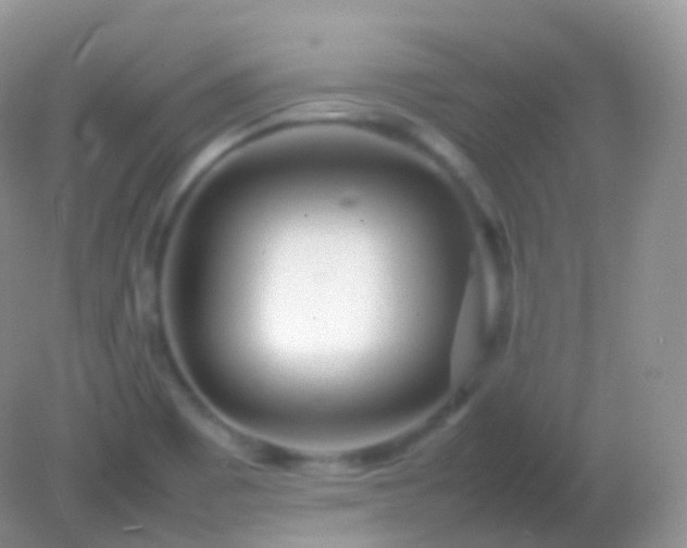 X0000082151465200701262256