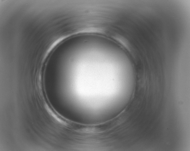 X0000082151468200701262256
