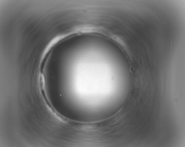 X0000082151472200701262256