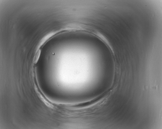 X0000082151485200701262255