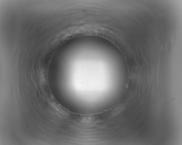 X0000082151490200701262254