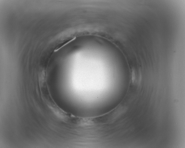 X0000082151492200701262255