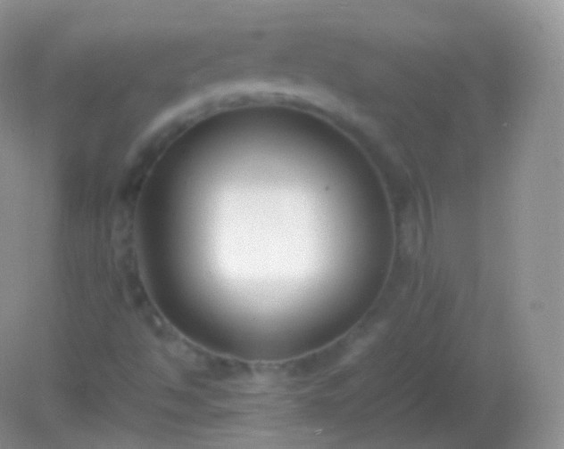 X0000082151494200701262255
