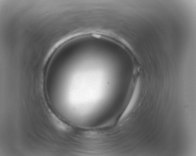 X0000082151508200701262255