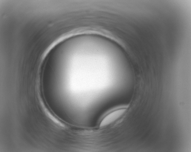X0000082151518200701262255