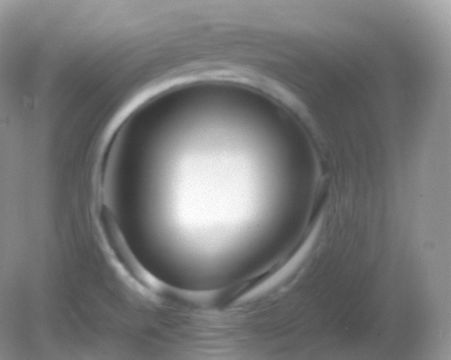 X0000082151520200701262255