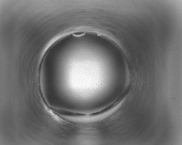X0000082151527200701262255