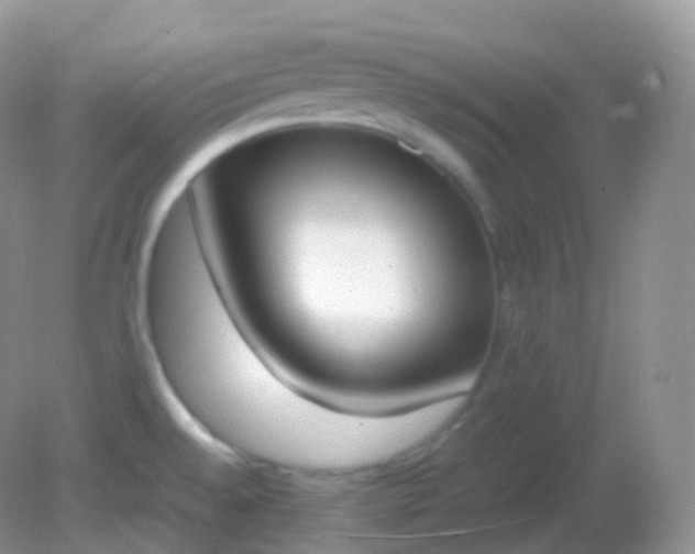 X0000082151528200701262255