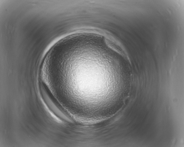 X0000082151533200701262255