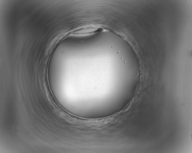 X0000082150001200702021647