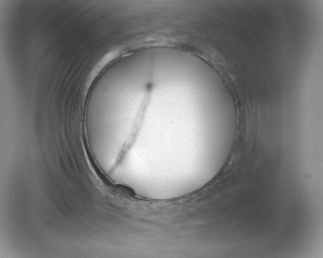 X0000082150003200702021647