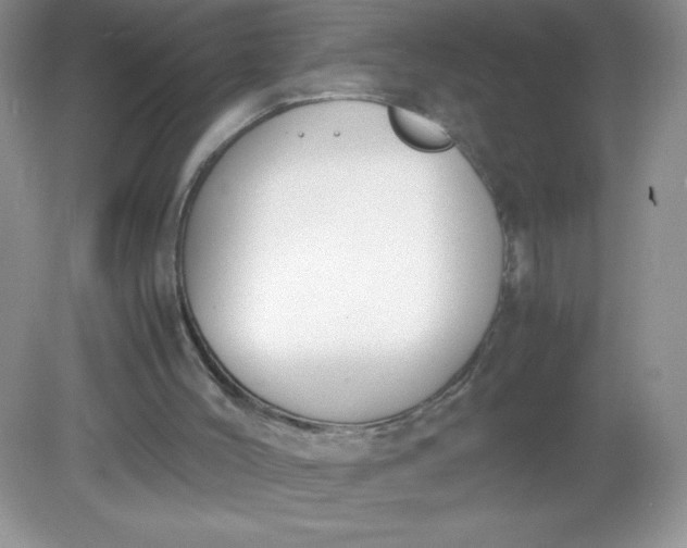 X0000082150004200702021647