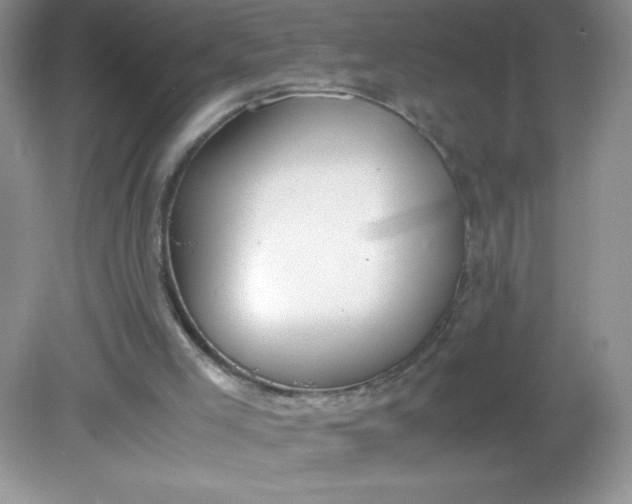 X0000082150005200702021647