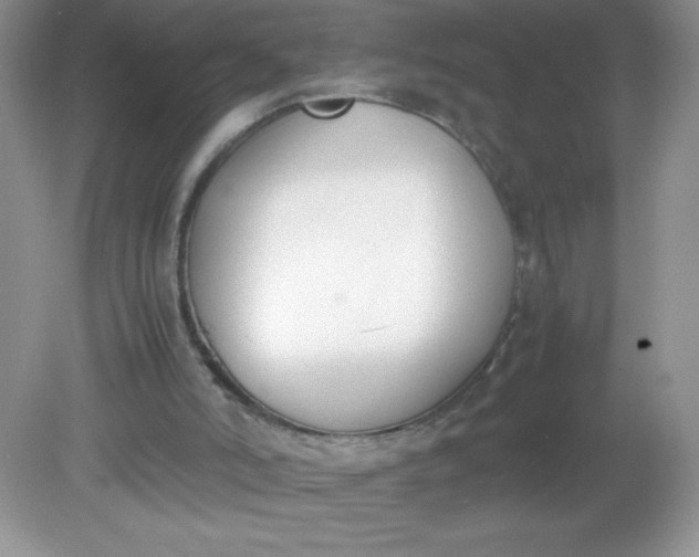 X0000082150006200702021647