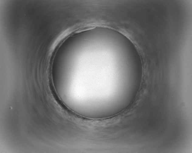 X0000082150007200702021647