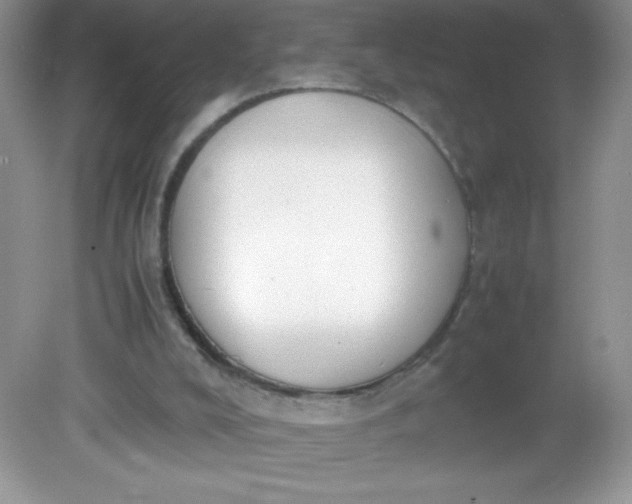 X0000082150008200702021647