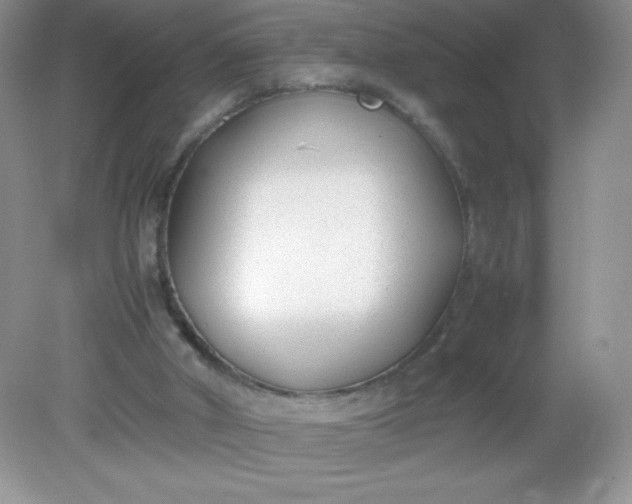 X0000082150010200702021647