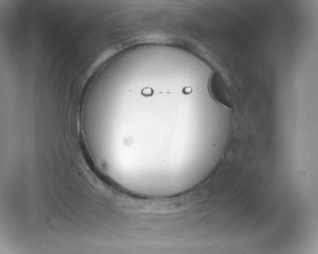 X0000082150011200702021647