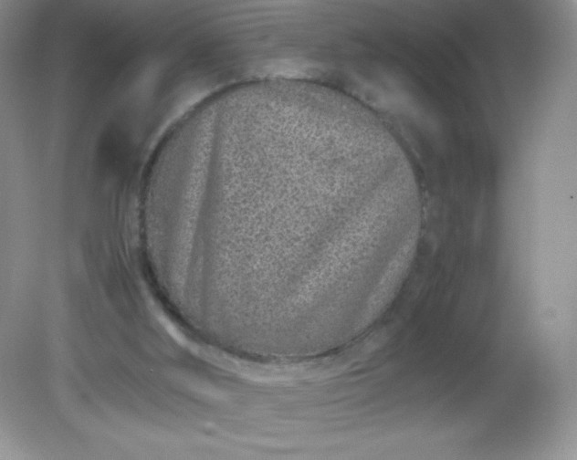 X0000082150012200702021647