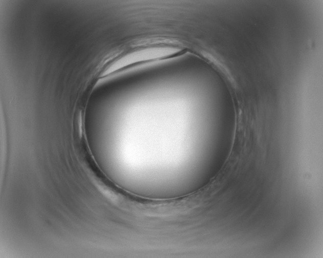 X0000082150013200702021647