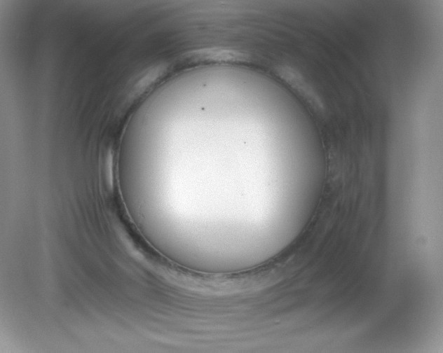 X0000082150014200702021647