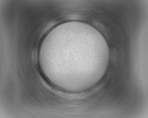 X0000082150016200702021647