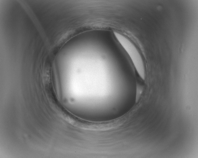 X0000082150017200702021647