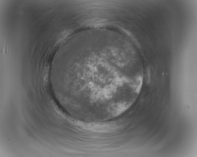 X0000082150018200702021647