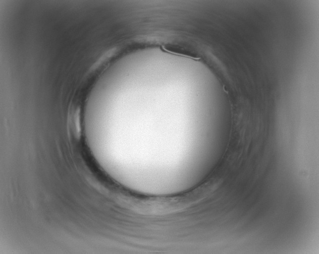 X0000082150020200702021647