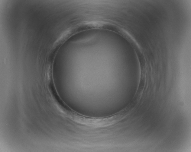 X0000082150023200702021646