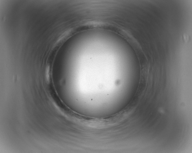 X0000082150024200702021646