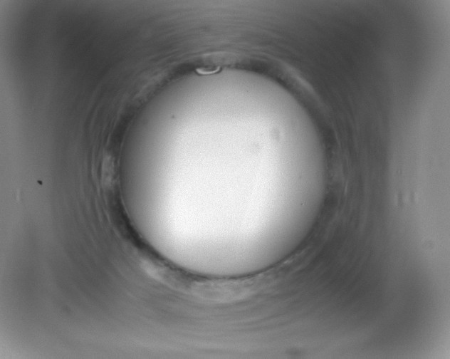 X0000082150025200702021646