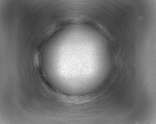 X0000082150026200702021646